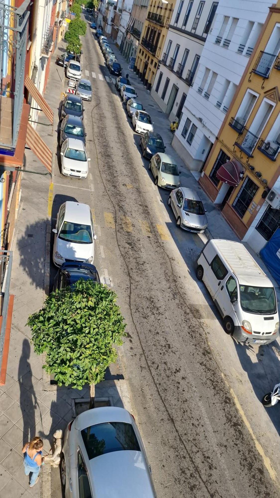 Castilla Del Cachorro, Apto De 2 En Triana Apartamento Sevilha